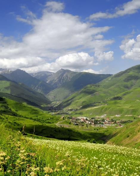 Фиагдо́н (осет. Фыййагдон) — горная река в Северной Осетии
